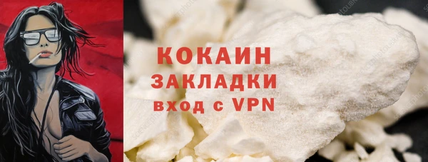 ГАЛЛЮЦИНОГЕННЫЕ ГРИБЫ Михайлов