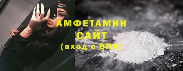 ГАЛЛЮЦИНОГЕННЫЕ ГРИБЫ Михайлов