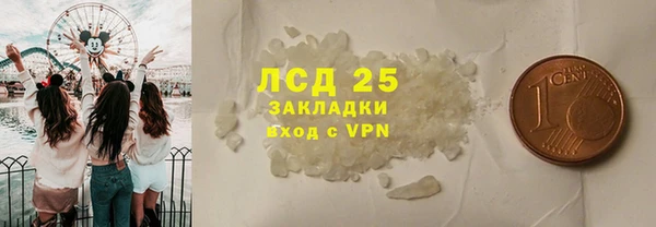 ГАЛЛЮЦИНОГЕННЫЕ ГРИБЫ Михайлов