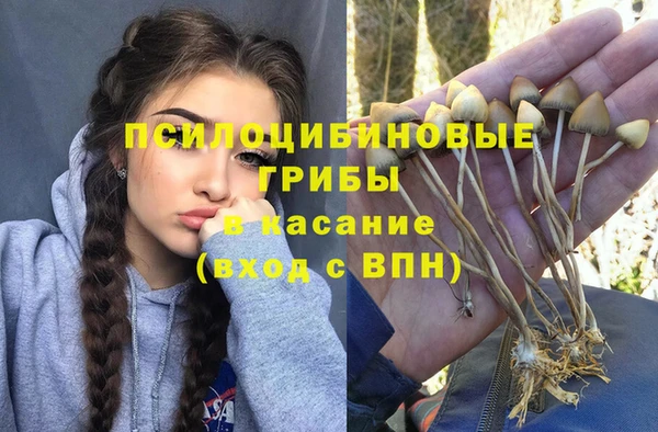 герыч Михайловск