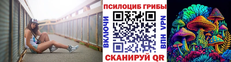 MEGA tor  Покачи  Галлюциногенные грибы мицелий  купить  сайты 